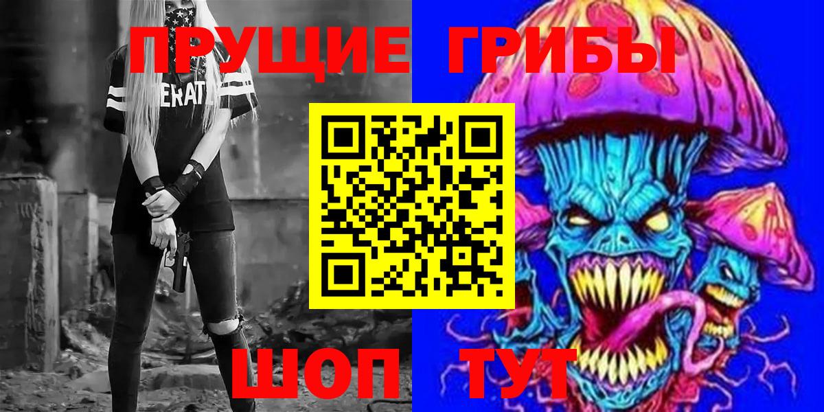 Псилоцибиновые грибы GOLDEN TEACHER  Вход с VPN  Фролово  купить закладку  Галлюциногенные грибы Psilocybe 