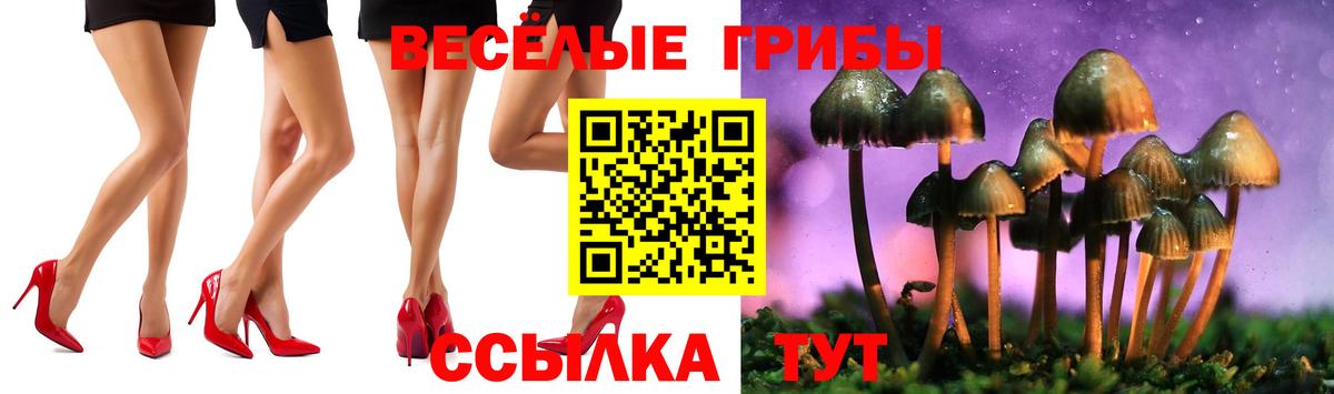 Галлюциногенные грибы Psilocybine cubensis Фролово