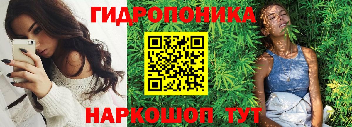 Бошки марихуана индика  МАРИХУАНА AK-47  Фролово  Вход с VPN 